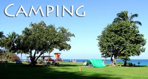Camping