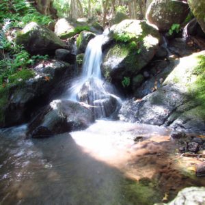 Rebecca Riggins - Kalalau Trail