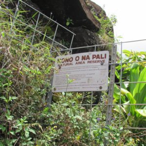 Rebecca Riggins - Kalalau Trail