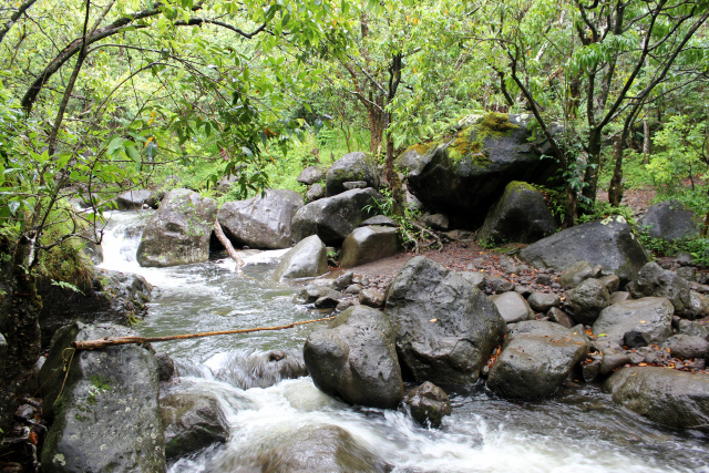 Kalalau Trail Hiker Swept Down Hanakoa Stream