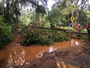 27 backpackers survived storm