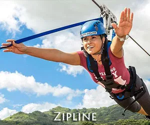 Zipline