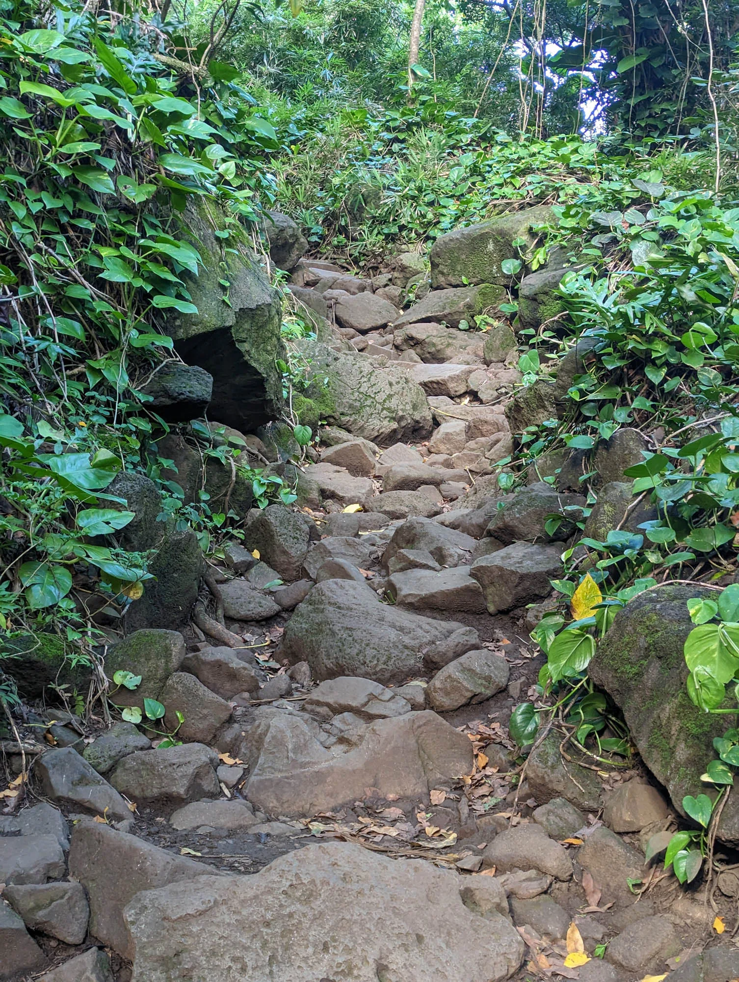 The beginning of the Kalalau Trail
