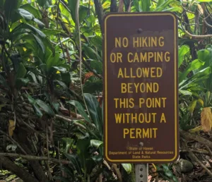 Permit Needed