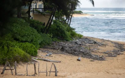 Where to Park Safely Near Hanalei for a Kalalau Hike