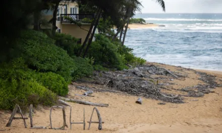Where to Park Safely Near Hanalei for a Kalalau Hike
