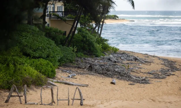 Where to Park Safely Near Hanalei for a Kalalau Hike